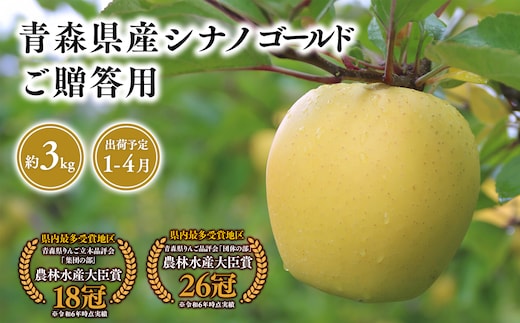 2025年産 １月～４月発送 贈答用シナノゴールド3ｋｇ 【そと川りんご園・１月・２月・３月・４月・青森県産・平川市・りんご・シナノゴールド・3ｋｇ・贈答用】