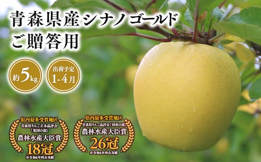 2025年産 １月～４月発送 贈答用シナノゴールド5ｋｇ 【そと川りんご園・１月・２月・３月・４月・青森県産・平川市・りんご・シナノゴールド・5ｋｇ・贈答用】