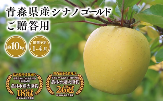 2025年産 １月～４月発送 贈答用シナノゴールド10ｋｇ 【そと川りんご園・１月・２月・３月・４月・青森県産・平川市・りんご・シナノゴールド・10ｋｇ・贈答用】