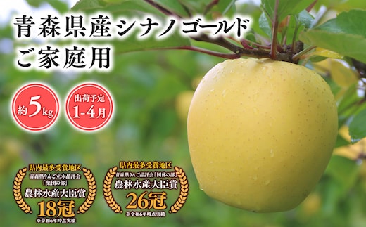 2025年産 １月～４月発送 【訳あり】家庭用シナノゴールド5ｋｇ 【そと川りんご園・１月・２月・３月・４月・青森県産・平川市・りんご・シナノゴールド・5ｋｇ・訳あり・家庭用】