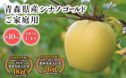 2025年産 １月～４月発送 【訳あり】家庭用シナノゴールド10ｋｇ 【そと川りんご園・１月・２月・３月・４月・青森県産・平川市・りんご・シナノゴールド・10ｋｇ・訳あり・家庭用】