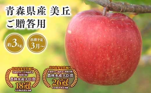 2025年産 ３月発送 贈答用美丘3kg【青森県 平川市 そと川りんご園】３月発送 贈答 青森 青森県産 平川 りんご リンゴ 林檎 くだもの 果物 フルーツ 