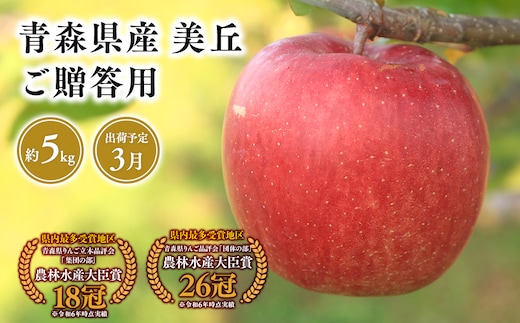 2025年産 ３月発送 贈答用美丘5kg【青森県 平川市 そと川りんご園】３月発送 贈答 青森 青森県産 平川 りんご リンゴ 林檎 くだもの 果物 フルーツ 