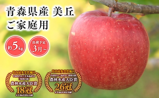 2025年産 3月発送 【訳あり】家庭用美丘5kg【青森県 平川市 そと川りんご園】３月発送 家庭用 りんご リンゴ 林檎 くだもの 果物 詰め合わせ 旬 フルーツ ３月 青森県産 青森 