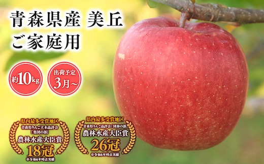 2025年産３月発送 【訳あり】家庭用美丘10kg【青森県 平川市 そと川りんご園】３月発送 家庭用 りんご リンゴ 林檎 くだもの 果物 詰め合わせ 旬 フルーツ ３月 青森県産 青森 
