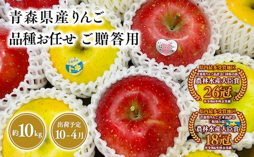 品種お任せ 贈答用 旬のりんご詰め合わせ10㎏