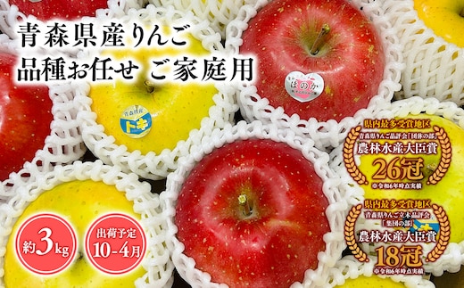 品種お任せ 【訳あり】家庭用 旬のりんご詰め合わせ3㎏