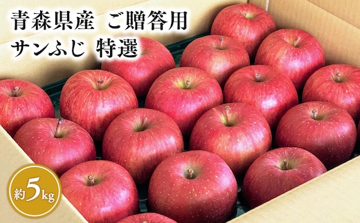 4月発送 【特選】サンふじ5㎏【りんご・青森・平川・特選・宮川商店・11月・12月・1月・2月・3月・4月