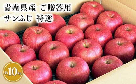 1月発送 【特選】サンふじ10㎏【りんご・青森・平川・特選・宮川商店・11月・12月・1月・2月・3月・4月】
