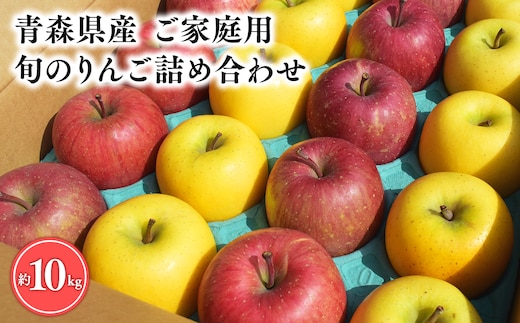 11月発送 【訳あり】旬のりんご詰め合わせ10㎏【りんご・青森・平川・訳あり・家庭用・宮川商店・11月・12月・1月・2月・3月・4月】
