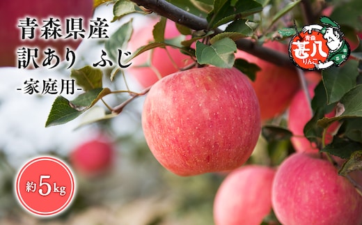 【５～７月発送】 訳あり 家庭用 甚八りんごふじ5kg 【マルジンサンアップル 5月 6月 7月 青森県産 平川市 りんご ふじ 5kg 訳あり 家庭用】