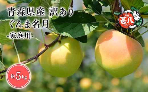 １１月発送 訳あり 家庭用 甚八りんごぐんま名月5kg 【マルジンサンアップル 11月 青森県産 平川市 りんご ぐんま名月 5kg 訳あり 家庭用】