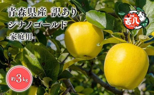 ６月発送 訳あり 家庭用 甚八りんごシナノゴールド３kg 【マルジンサンアップル 6月 青森県産 平川市 りんご シナノゴールド 3kg 訳あり 家庭用】