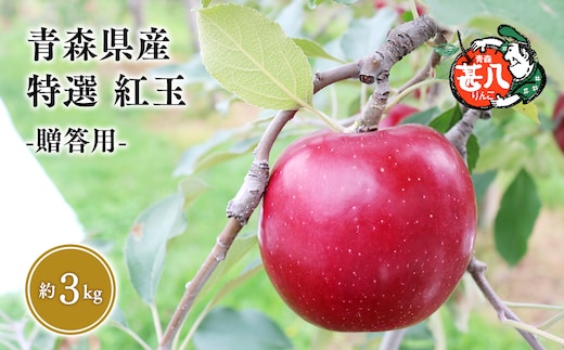 １０月発送 特選 甚八りんご紅玉３kg 【マルジンサンアップル 10月 青森県産 平川市 りんご 紅玉 3kg 特選 贈答用】