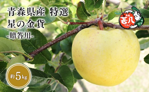 １１月発送 特選 甚八りんご星の金貨5kg 【マルジンサンアップル 11月 青森県産 平川市 りんご 星の金貨 5kg 特選 贈答用】