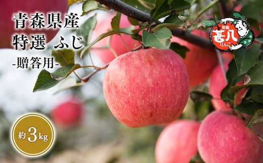 【５～７月発送】 特選 甚八りんごふじ３kg 【マルジンサンアップル 5月 6月 7月 青森県産 平川市 りんご ふじ 3kg 特選 贈答用】