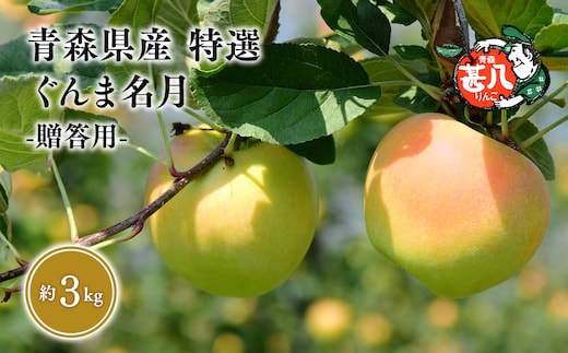 １１月発送 特選 甚八りんごぐんま名月３kg 【マルジンサンアップル 11月 青森県産 平川市 りんご ぐんま名月 3kg 特選 贈答用】