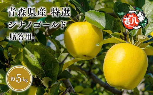 ６月発送 特選 甚八りんごシナノゴールド５kg 【マルジンサンアップル 6月 青森県産 平川市 りんご シナノゴールド 5kg 特選 贈答用】