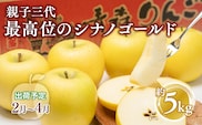 【全国ふじコンテスト最高賞受賞・青森りんご・平川市広船産・2月・3月・4月発送】年明け 家庭用　親子三代最高位のシナノゴールド約5kg