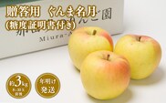 【1~2月発送】 贈答用ぐんま名月約3kg（糖度証明書付き） 【那由多のりんご園・平川市産】