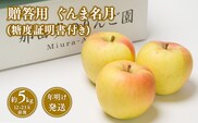 【1~2月発送】 贈答用ぐんま名月約5kg（糖度証明書付き） 【那由多のりんご園・平川市産】