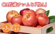 4月 CA貯蔵サンふじ 約3kg【森山商店・青森県産・青森りんご・4月】