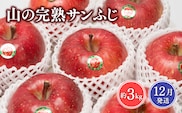 2026年12月 吹田りんご園 山の完熟サンふじ約3kg 　【吹田りんご園・青森りんご・平川市広船産・12月】