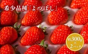【2~4月発送】いちご よつぼし 約300ｇ×２パック
