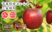 2026年産  １０月・１１月発送　【訳あり】家庭用おいらせ5ｋｇ　【そと川りんご園・１０月・１１月・青森県産・平川市・りんご・おいらせ・5ｋｇ・訳あり・家庭用】