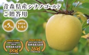 2025年産 １月～４月発送　贈答用シナノゴールド5ｋｇ　【そと川りんご園・１月・２月・３月・４月・青森県産・平川市・りんご・シナノゴールド・5ｋｇ・贈答用】