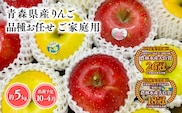 品種お任せ　【訳あり】家庭用　旬のりんご詰め合わせ5㎏