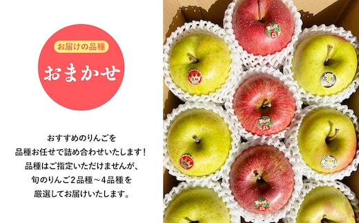 品種お任せ 贈答用 旬のりんご詰め合わせ3㎏ | dショッピングふるさと