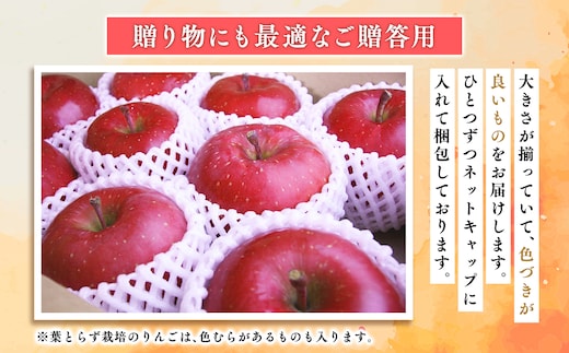 品種お任せ 贈答用 旬のりんご詰め合わせ3㎏ | dショッピングふるさと