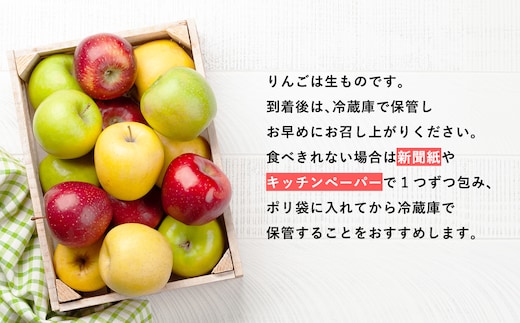 品種お任せ 贈答用 旬のりんご詰め合わせ3㎏ | dショッピングふるさと