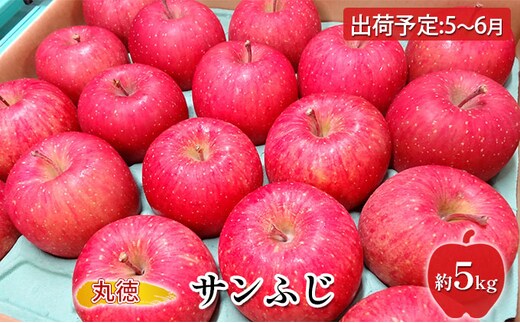 5～6月 CA貯蔵 サンふじ 約5kg【青森りんご・原正アップル・5月・6月】 果物類 林檎 リンゴ 希少 葉取らず 酸味 安心 人気 