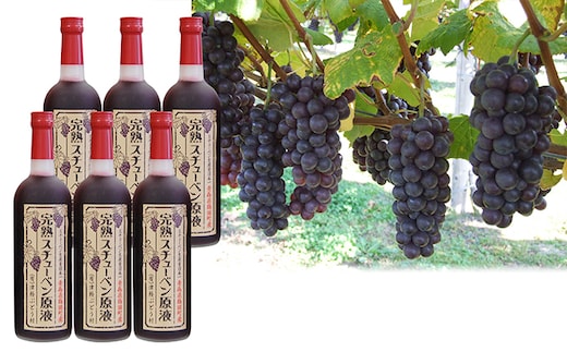 津軽鶴田町産 完熟スチューベン原液720ml×6本 果物 ぶどう フルーツ 果実飲料 ジュース 