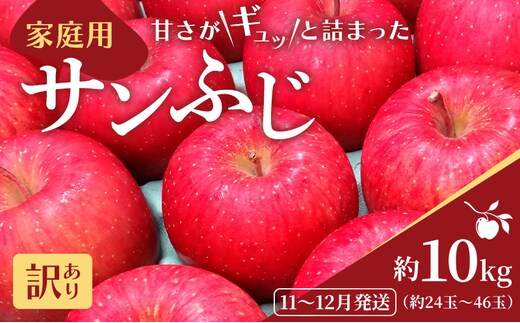 11～12月発送 家庭用 サンふじ 約10kg【訳あり】原正りんご 青森県産 津軽産 リンゴ 林檎 果物 フルーツ デザート 食後 甘味 酸味 食感 果汁たっぷり 青森りんご 国産 