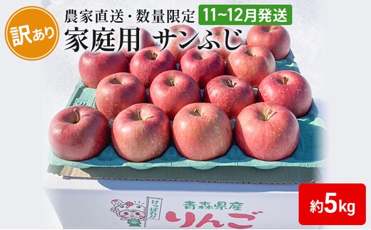 【 農家直送 数量限定 】 11～12月発送 家庭用 サンふじ 約 5kg 【 訳あり 】 果物 フルーツ 青森りんご シャキシャキ 