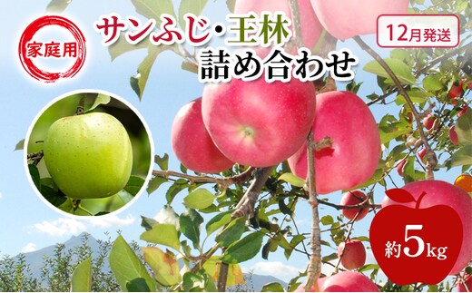 りんご 【 12月発送 】 糖度13度～家庭用 サンふじ ・ 王林 詰め合わせ 約 5kg
