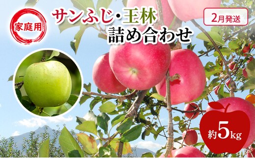 りんご 【 2月発送 】 糖度13度～家庭用 サンふじ ・ 王林 詰め合わせ 約 5kg