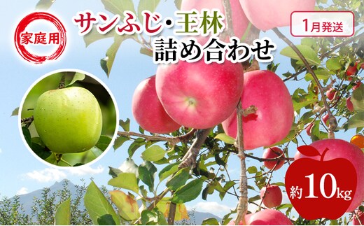 りんご 【 1月発送 】 糖度13度～家庭用 サンふじ ・ 王林 詰め合わせ 約 10kg
