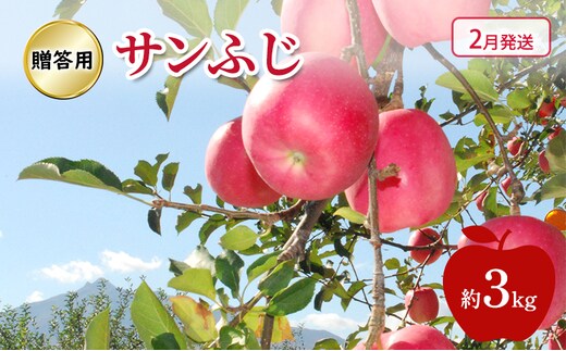 りんご 【 2月発送 】 糖度13度～贈答用 サンふじ 約 3kg