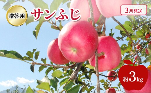 りんご 【 3月発送 】糖度13度～ 贈答用 サンふじ 約 3kg