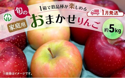 りんご 【 1月発送 】 家庭用 旬のりんご 品種おまかせ 約 5kg 2品種～4品種