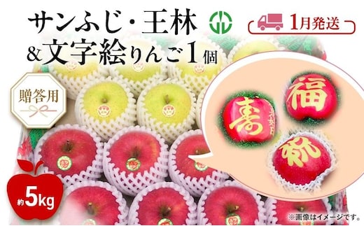 りんご 【 1月発送 】 贈答用 サンふじ ・ 王林 ＋ 文字絵入りりんご1個 約 5kg