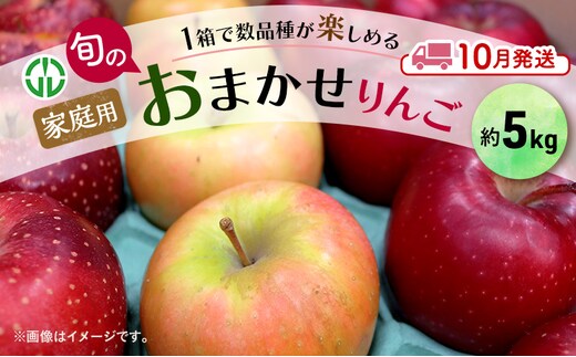 りんご 【 10月発送 】 家庭用 旬のりんご 品種おまかせ 約 5kg 2品種～4品種 果物類 フルーツ 林檎 リンゴ 鶴田町 青森県 おやつ デザート
