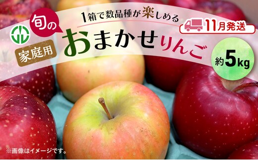 りんご 【 11月発送 】 家庭用 旬のりんご 品種おまかせ 約 5kg 2品種～4品種 果物類 フルーツ 林檎 リンゴ 鶴田町 青森県 おやつ デザート