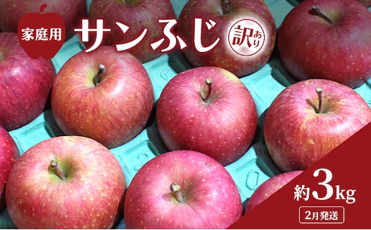 2月発送 家庭用 訳あり サンふじ 約 3kg りんご リンゴ 林檎 果物 フルーツ わけあり 青森