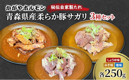 かがやホルモン 秘伝自家製たれ 当店自慢 青森県産 柔らか 豚 サガリ 3種 セット みそ味 しょうゆ味 塩味 肉 豚肉 味付け肉 真空パック