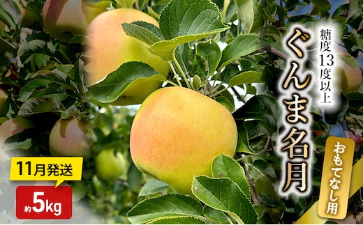 りんご【11月発送】糖度13度以上 ぐんま名月 おもてなし品 約5kg【青森りんご】